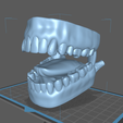 M2.png Mouth