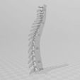 3.jpg SPINE WITHOUT SUPPORTS PROFESSIONAL MEDICINE