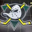 IMG_3667.JPG Mighty Ducks Logo