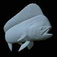 mahi-mahi-model-1-49.png fish mahi mahi / common dolphin trophy statue detailed texture for 3d printing