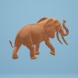 éléphant-4.jpg An elephant trumpets 🐘🐘🐘