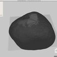 MeshMixer_02.jpg 2.7 kg round stone