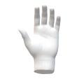 Hand.png Hand
