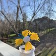IMG_1100.jpeg Filament Flower - Giftable, Modular Spring Flower Kit