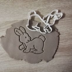 IMG_20190324_101742.jpg Fichier STL Pâques Bunny Cookie Cutter lapin・Modèle pour impression 3D à télécharger, markov3dsvet