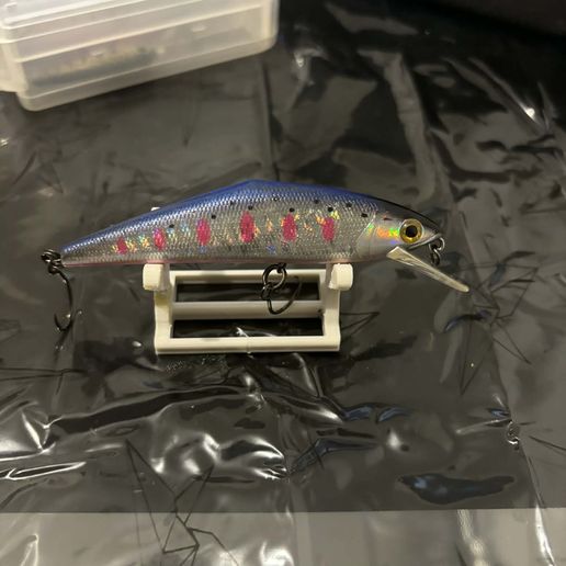 1000027617.jpg decoy support