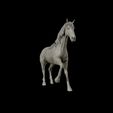 15.jpg American Quarter Horse model 3D print model