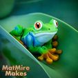 Painted-0286-copy.jpg Grenouille arboricole, fidget articulé, corps imprimé sur place, tête encliquetable, cute-flexi