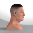 untitled.281.jpg John Cena bust ready for full color 3D printing