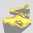 Screenshot-2025-03-07-182505.png wolf skull