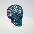 skull voronoi photo1.png Voronoi Skull 3D print model