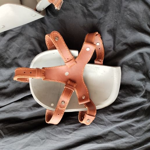 IMG20230417190741.jpg kit centinela bf1