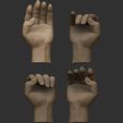 2-ZBrush-Document.jpg Hand details