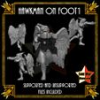 GH1-wings.jpg Hawkman Squadron on Foot
