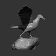 seagull-on-the-stone15.jpg Seagull on the stone 3D print model