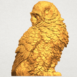 A02.png Owl 04