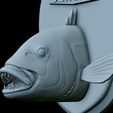 Dentex-head-trophy-43.png fish head trophy Common dentex / dentex dentex open mouth statue detailed texture for 3d printing