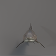 u0009.png Shark photorealistic- rigged stl included