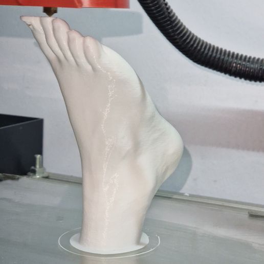 3.jpg Human foot