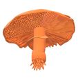 inferior-800x800px.jpg Mushroom. Didactic 3D.