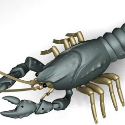 Render_1_display_large.jpg Articulated Crayfish