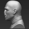 5.jpg Lord Voldemort bust ready for full color 3D printing