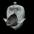 Dentex-head-trophy.png fish head trophy Common dentex / dentex dentex open mouth statue detailed texture for 3d printing