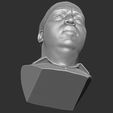 19.jpg The Notorious B.I.G. bust 3D printing ready stl obj formats