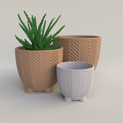 BeanPot_01_Viewport_002.png STL-Datei Pfeilknochen Sukkulenten-Pflanzgefäße・Modell für 3D-Drucker zum Herunterladen