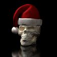 ShopA.jpg Skull with Christmas hat