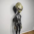 IMG_20230809_220928.jpg Alien
