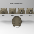 versions.png Caja de ricino