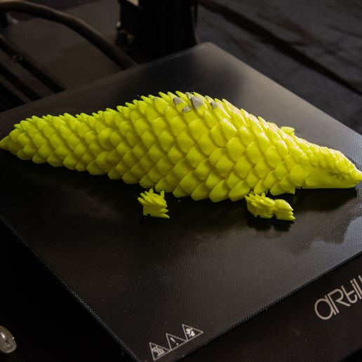 2.jpg Флекси Панголин