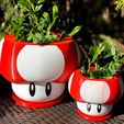 IMG_9191 (1).jpg Mario Themed Mushroom Planter | Assemble-After-Print & Dual-Color/Multi-Material Print Files