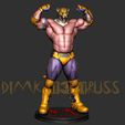 2.jpg king tekken