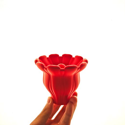 1756557616486.jpg Coral cruel