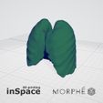12.jpg Medical design - Lungs (in vivo)