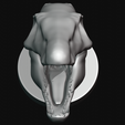 Sigilmassasaurus_Head.png Sigilmassasaurus Head for 3D Printing