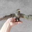 p-aguila-mano-shira.jpg Aigle articulé : figurine à poser