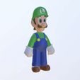 IMG_9732.jpg Luigi