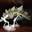 Stegosaurus Skeleton