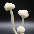 f23444ee69135382e3290ceb21e884f5_display_large.jpg Glowing Mushrooms
