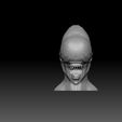 2.jpg Neomorph 3d print ready Bust