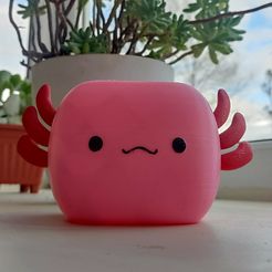 IMG_20231002_170310.jpg Jardinière Axolotl