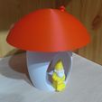 P_20231009_071945.jpg Red mushroom