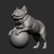 French_Bulldog7.jpg French Bulldog 3D print model