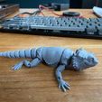 Bearded Dragon Articulated Toy, Print-In-Place Body, Snap-Fit Head, Cute Flexi