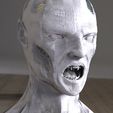 untitled.3020.jpg Vampire Head bust base 3D model