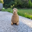 abb8dbdb-db90-4c70-96b9-b3dd820f1bb9.jpg Chill Bactrian Camel – Cute Desert Buddy