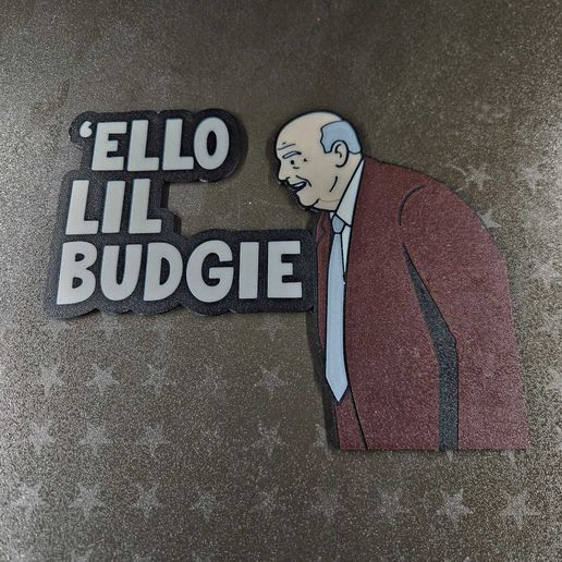 HELLO LITTLE BUDGIE - Fred Elliott